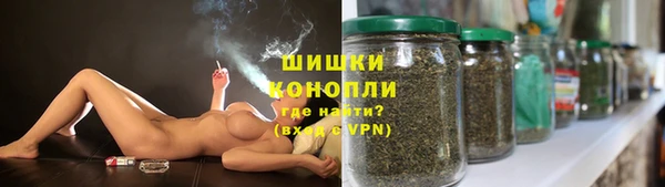 дживик Вуктыл