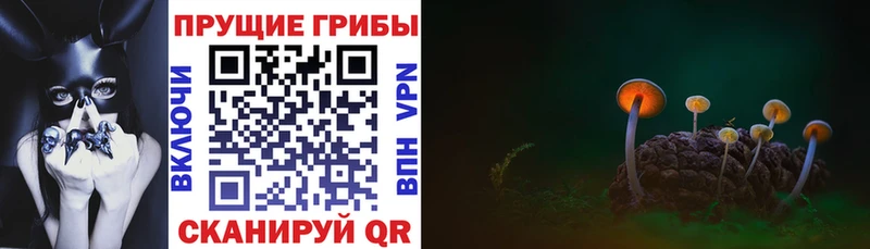 Галлюциногенные грибы GOLDEN TEACHER  наркотики  Октябрьск 