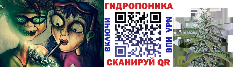omg ONION  Октябрьск  Шишки марихуана White Widow 